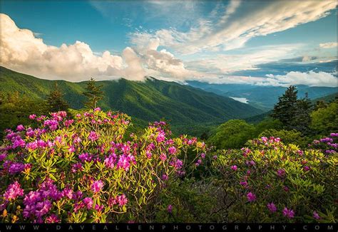 North Carolina Blue Ridge Parkway Spring Mountains Scenic Landscape