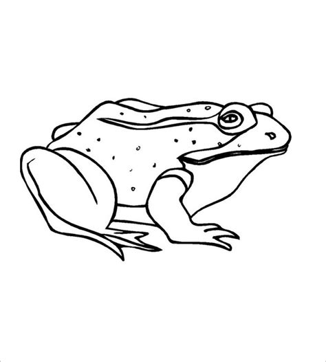 Frog Template Animal Templates Free And Premium Templates