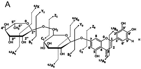 Molecules Free Full Text Structural Characterization Of Flavonoid