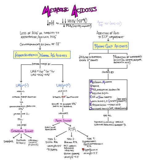 Normal Anion Gap Metabolic Acidosis Julia Rampling