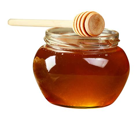 Honey Png Image Purepng Free Transparent Cc Png Image Library