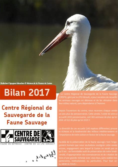 Consultez Le Bilan 2017 Du Centre Régional De Sauvegarde De La Faune