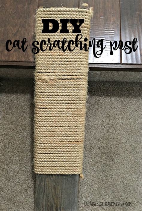 Super Easy Diy Cat Scratching Post Salvage Sister And Mister