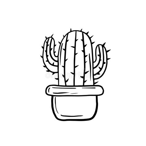Cactus Vector Linear Illustration Of A Cactus Sketch Drawing Of A