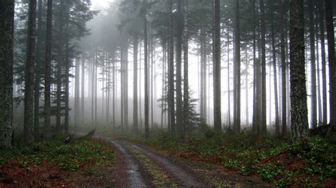 15 Haunted Hiking Trails For A Scary Fall Hike