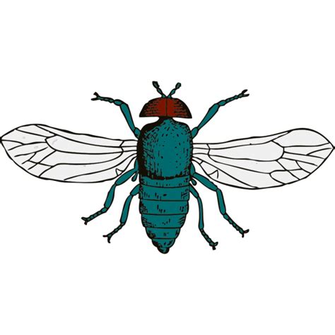 Fly Png Svg Clip Art For Web Download Clip Art Png Icon Arts