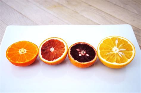 10 Interesting Facts About Orange You Should Know African Food Network