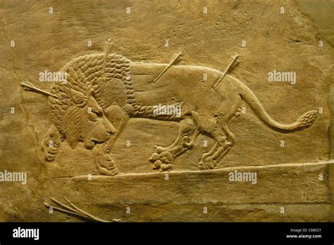 Assyrian Relief Of The Royal Lion Hunt Of King Ashurbanipal Seen At The