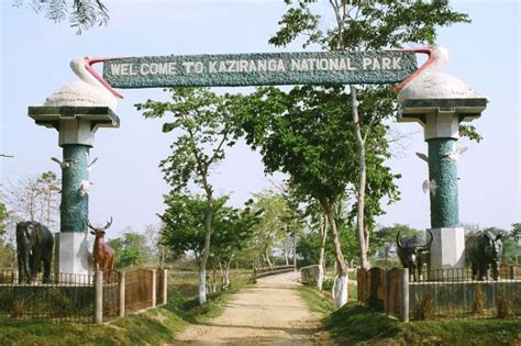Kaziranga National Park To Remain Open For Eight Months