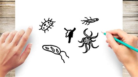 How To Draw Bacteria Step By Step Youtube