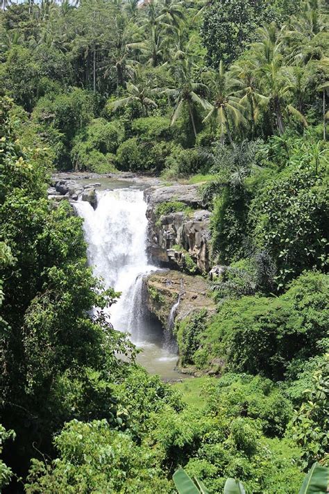 Wisata Air Terjun Terindah Di Bali Destinasi Favorit Para Wisatawan