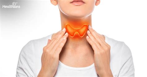 All The Info About Thyroid Disorders You Ever Needed To Know