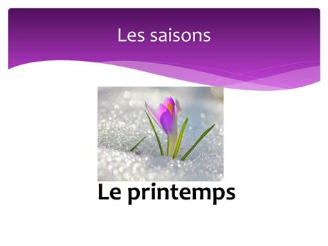 Ppt Les Saisons Et Le Temps Powerpoint Presentation Id2260402