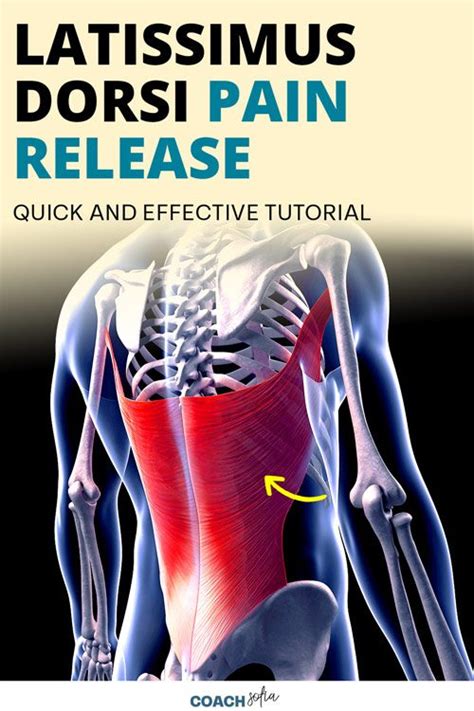 Latissimus Dorsi Pain Release And Best Sleeping Position Effective