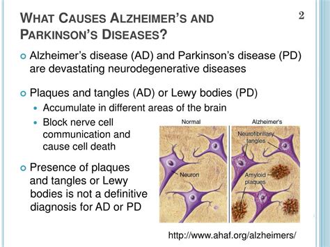 Ppt Antibody Based Therapeutics For Treating Alzheimers And