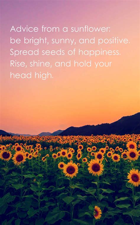 Check spelling or type a new query. 23 Beautiful Sunflower Quotes with Images