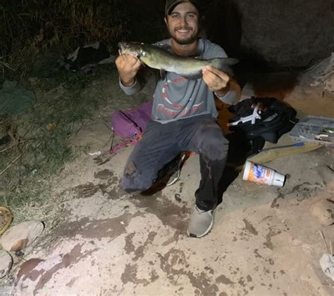 Fishing Reports Best Baits And Forecast For Fishing In Tempe Town Lake