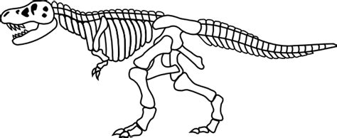 Printable Dinosaur Skeleton Template Floss Papers