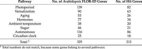 Summary Of Flor Id Genes Found In Gentian Rna Seq Download