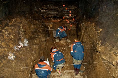 Ancient Bone Reveals Surprising Sex Lives Of Neanderthals Wbur News