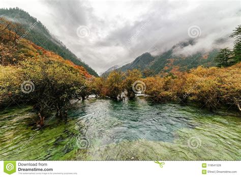 Amazing View Of The Bonsai Shoals Jiuzhaigou Nature Reserve Stock