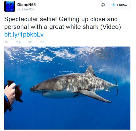 Cool Stuff You Can Use Shark Takes A Selfie