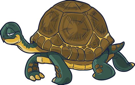 Slow Turtle Cartoon