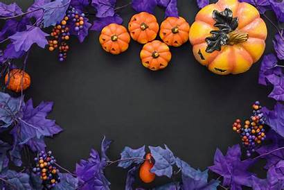 Halloween Pumpkin Purple Background Desktop 4k Wallpapers