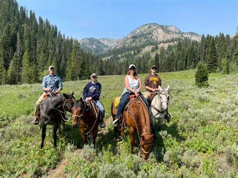 Horseback Trail Ride Photos And Videos In Jackson Wyoming