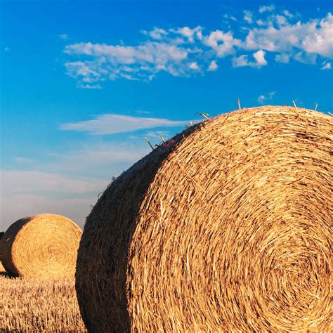 Hay Bale Free Stock Photo Public Domain Pictures