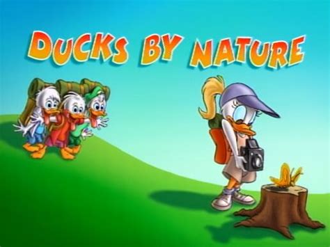 Ducks By Nature Disney Wiki Fandom Powered By Wikia
