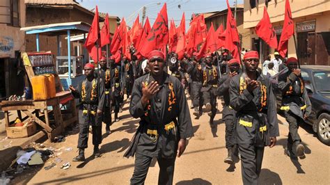 Biotechnology is no longer viewed as option but necessity — okogbenin. Shiites sue Kano government for alleged breach of ...