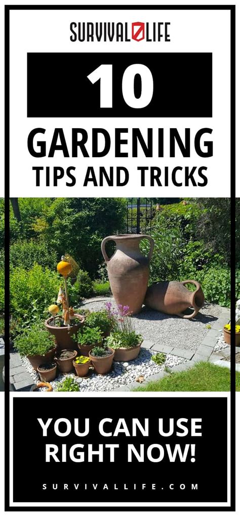 10 Gardening Tips And Tricks You Can Use Right Now Survival Life