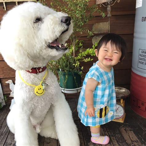 This Baby And Giant Dogs Friendship Proves All You Need In Life Is A