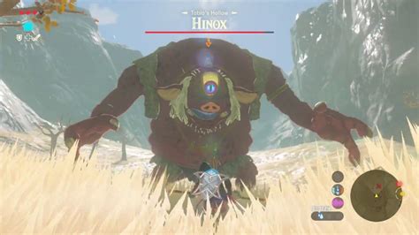 You'll become more powerful the further you progress in the game. Breath of the Wild - Mini Boss: Hinox! - YouTube