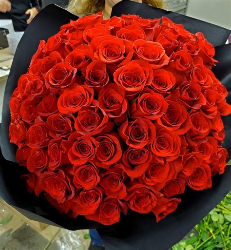 Beautiful 100 Roses Bouquet Ubicaciondepersonascdmxgobmx