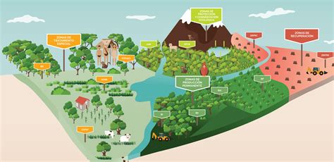 Daropina ¿y La Zonificación Forestal Para Cuándo Derecho Ambiente