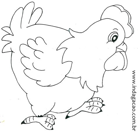 Desenho Galinha Para Colorir