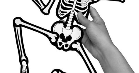Papermau Halloween Special Articulated Skeleton Decorative Paper