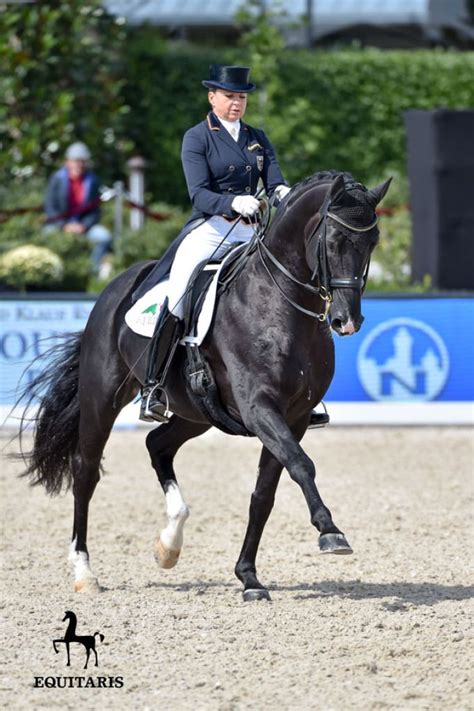 Her first animal sex, horse drill young ass, white beast cum, real pov stallion porn. Pin auf Dressage