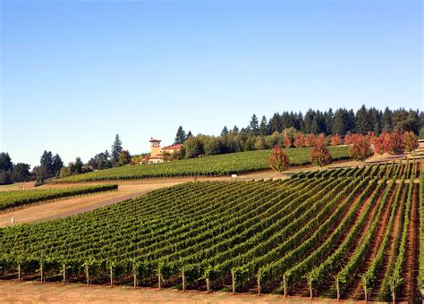 Willamette Valley - Wineries in Willamette Valley Oregon