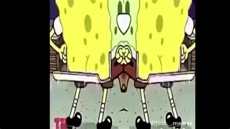 Wedgie ~ Spongebob Coub The Biggest Video Meme Platform