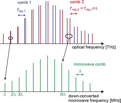 Dual Comb Modelocked Lasers Generated From A Single Source