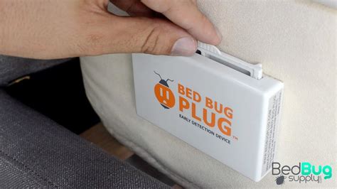 Bed Bug Plug Active Bed Bug Monitor Review Youtube