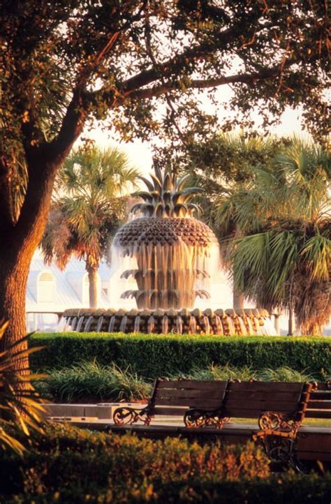 From charleston's talented music scene, nightclubs or cultured art galleries, or a simple. Great Charleston, SC Images from Pinterest - Charleston Daily