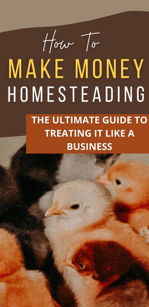 The Ultimate Guide To Making Money For Homesteading With Text