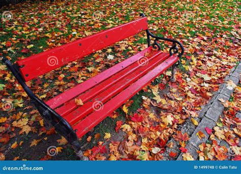 Red Bench In The Park Royalty Free Stock Photos Image 1499748