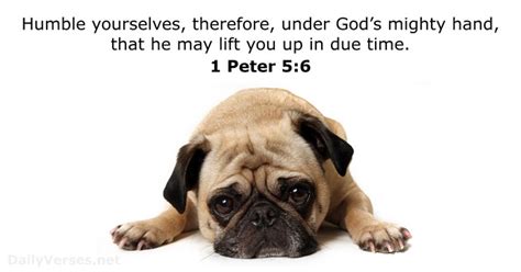 1 Peter 56 Bible Verse