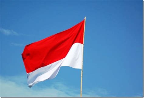 Mewarnai gambar bendera merah putih untuk anak tk , contoh gambar. Menggam Gambar Bendera Indonesia / 8 Tokoh Tokoh Pendiri Negara Indonesia Peran Dan - Buatlah ...