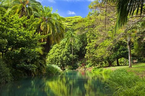 Tripadvisor Allerton Garden Guided Tour At National Tropical